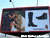 Hush Puppies in Minsk Outdoor Advertising: 21/11/2007